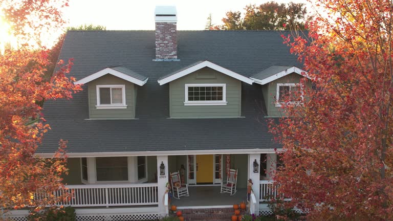 Best Roof Moss and Algae Removal  in Little Rock, AR